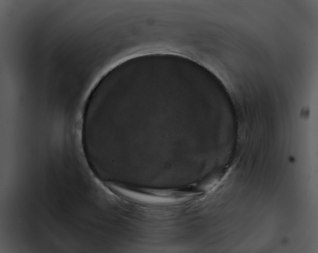 X0000102831508200809081143