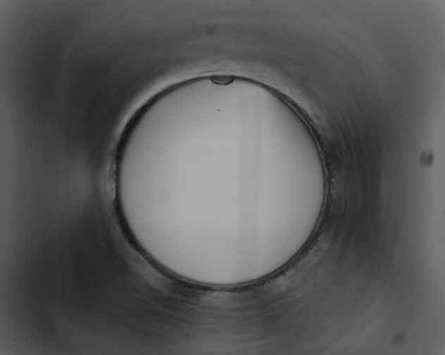 X0000102831510200809081143