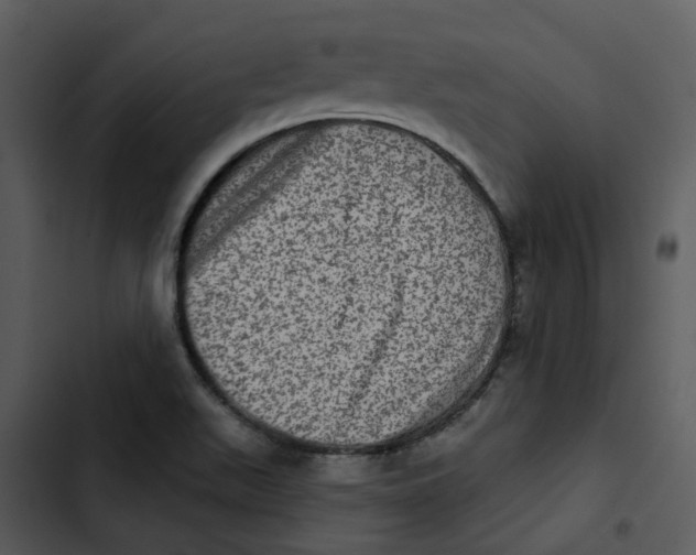 X0000102831511200809081143