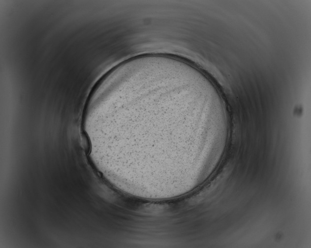 X0000102831513200809081143