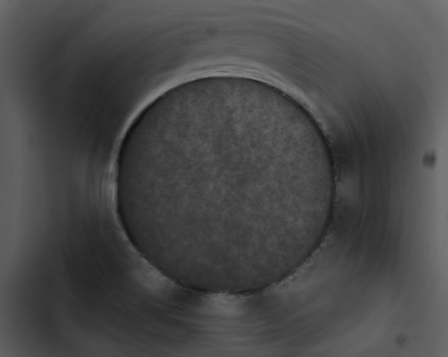 X0000102831514200809081143