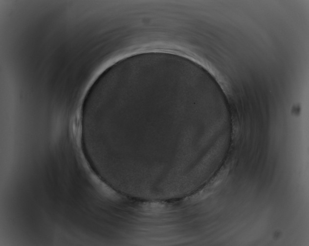 X0000102831515200809081143