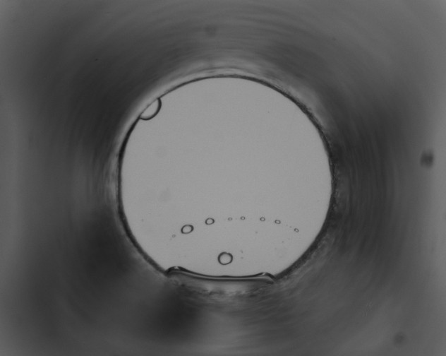 X0000102831516200809081143