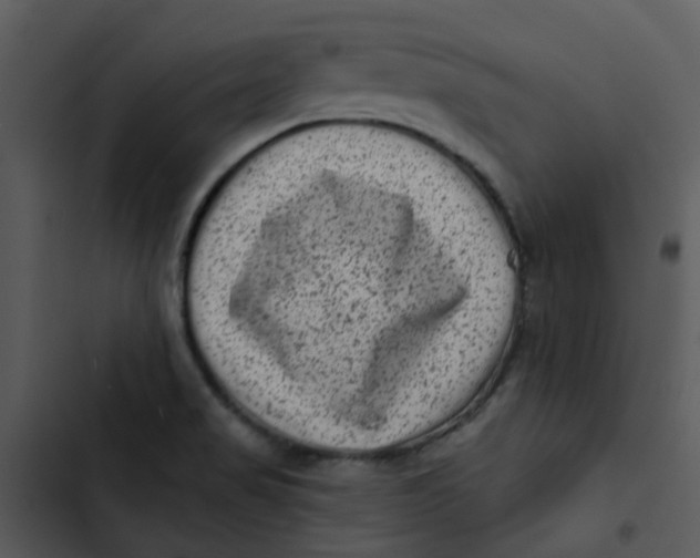 X0000102831517200809081143