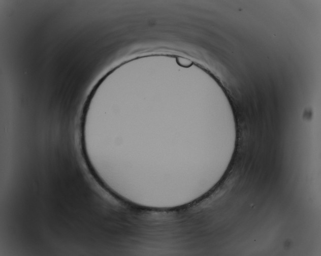 X0000102831518200809081143