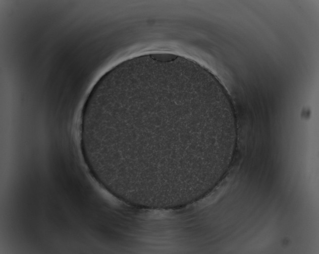 X0000102831519200809081143