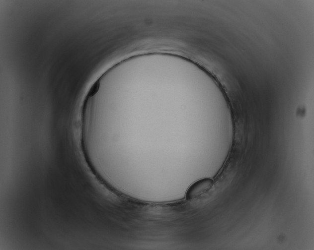 X0000102831520200809081143