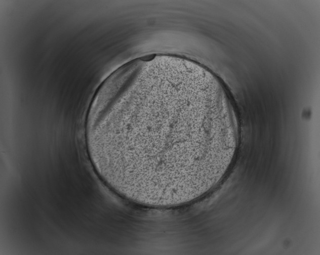 X0000102831521200809081143