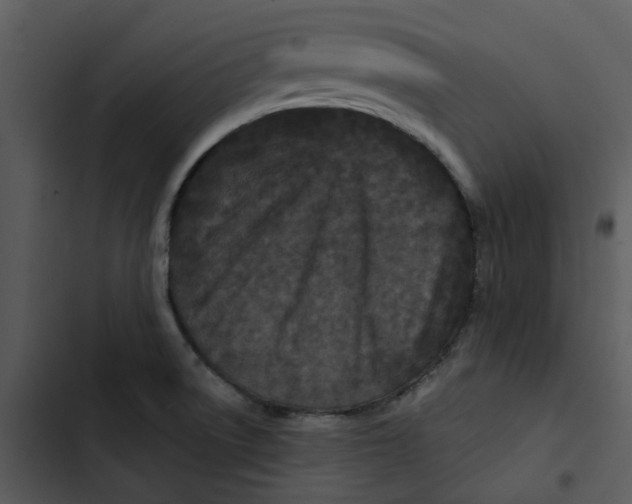 X0000102831522200809081143