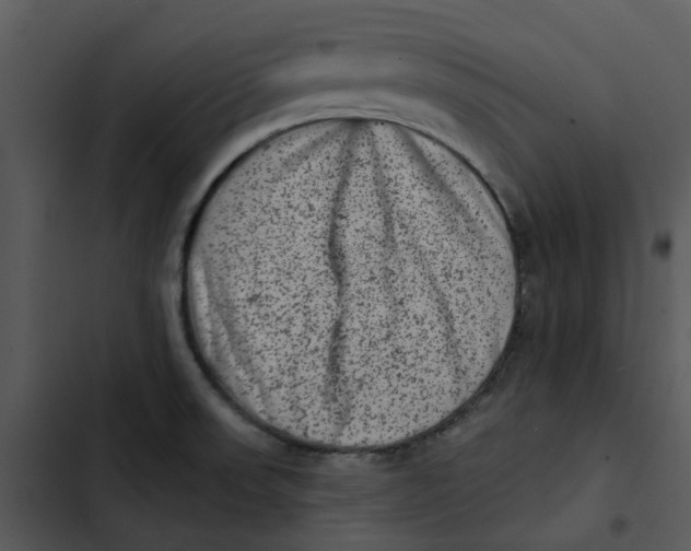 X0000102831523200809081143