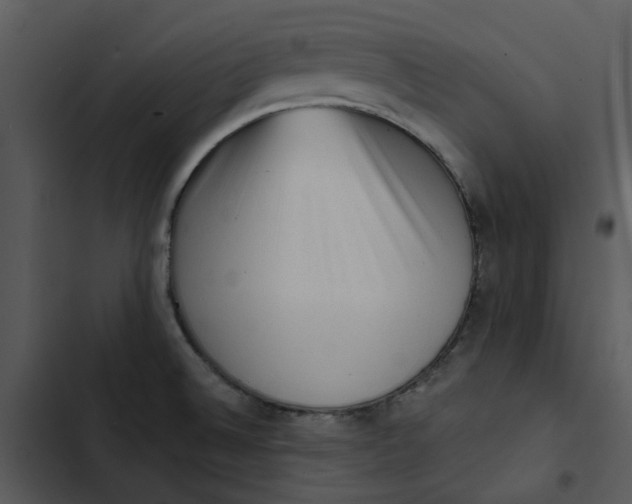 X0000102831524200809081143