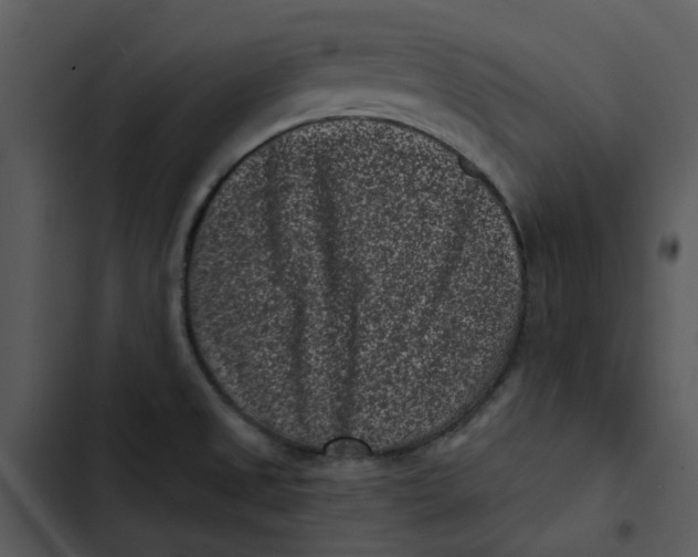 X0000102831525200809081143