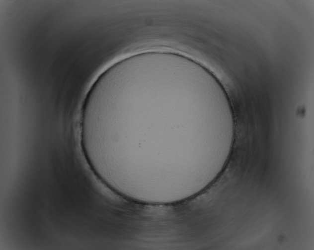 X0000102831526200809081143