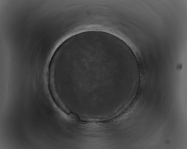 X0000102831527200809081143