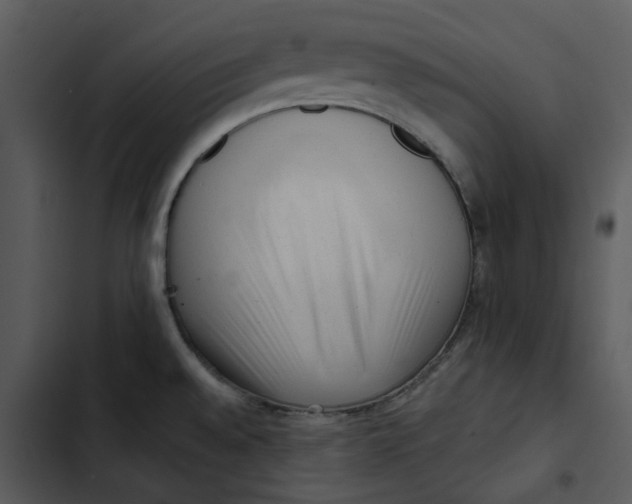 X0000102831528200809081143