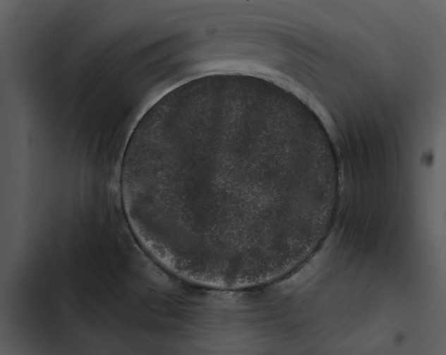 X0000102831529200809081143