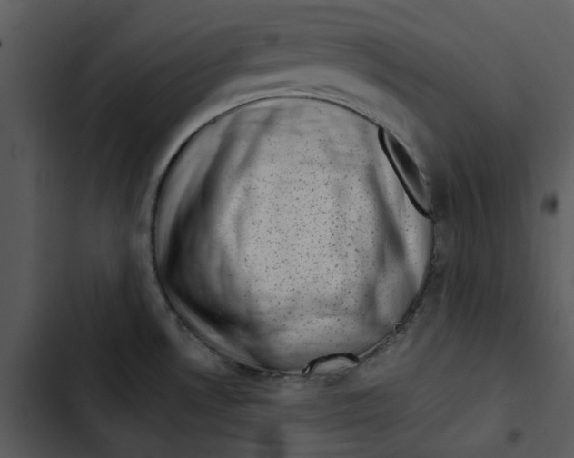 X0000102831530200809081143