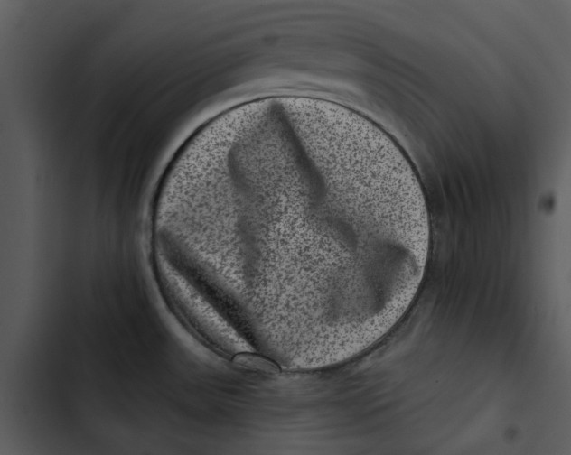 X0000102831531200809081143