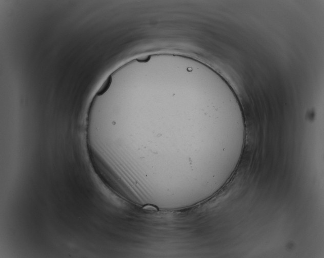 X0000102831532200809081143