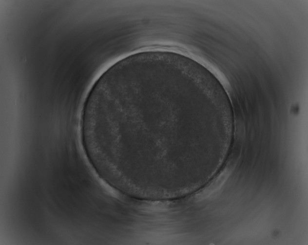 X0000102831533200809081143