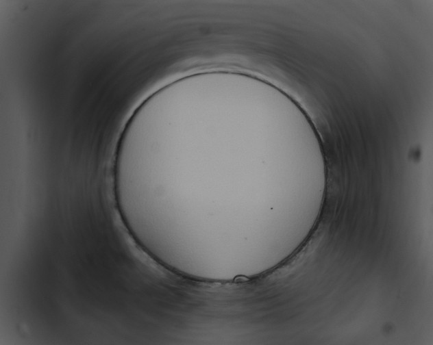 X0000102831534200809081143