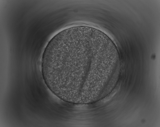 X0000102831535200809081143