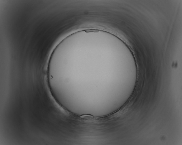 X0000102831536200809081143