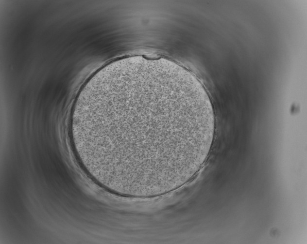X0000102830001200809151051