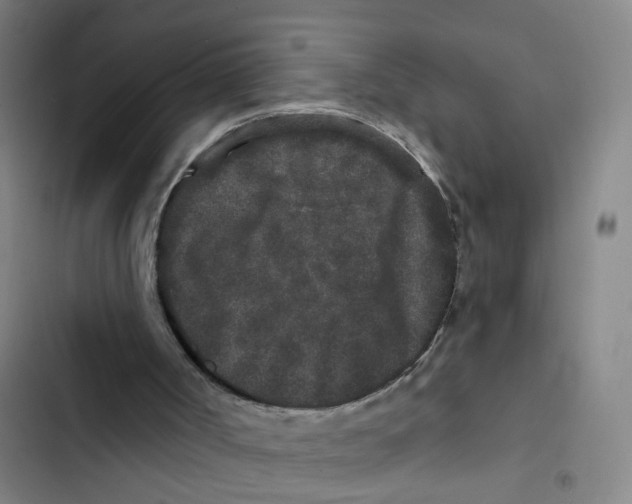 X0000102830002200809151051