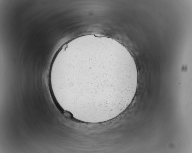 X0000102830003200809151051