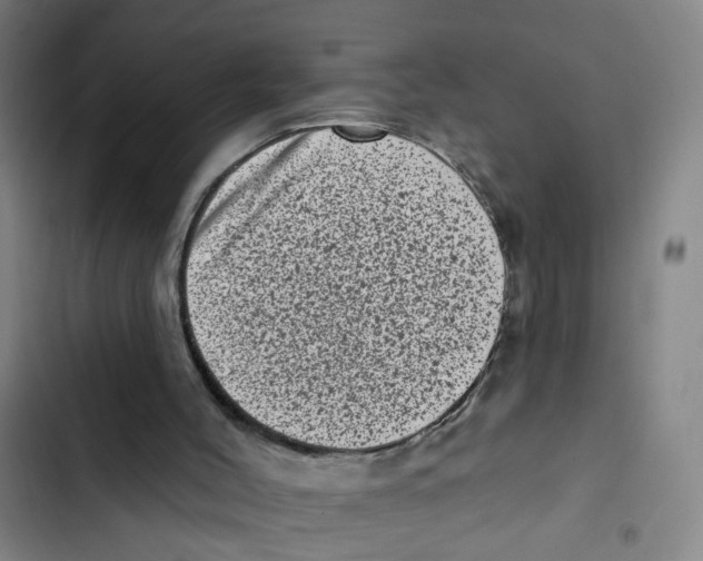 X0000102830004200809151051