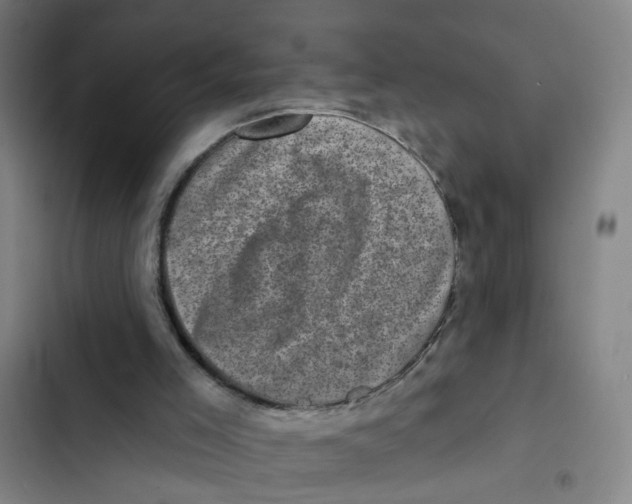X0000102830005200809151051