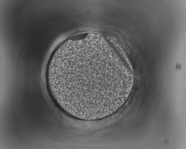 X0000102830006200809151051