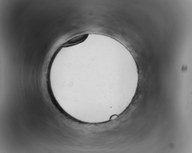 X0000102830007200809151051