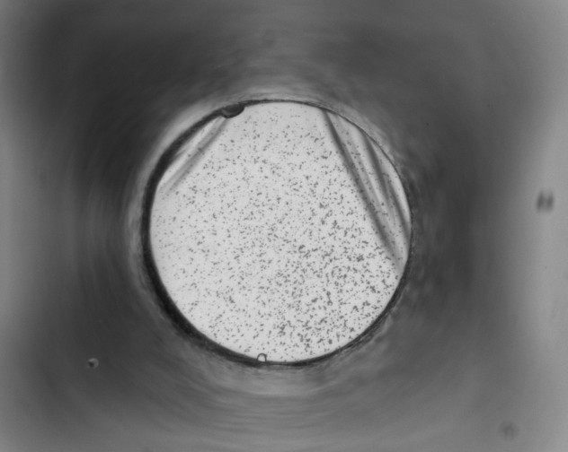 X0000102830008200809151051