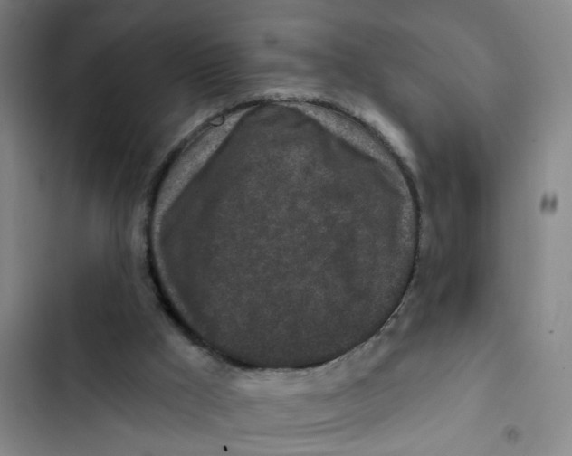 X0000102830009200809151051