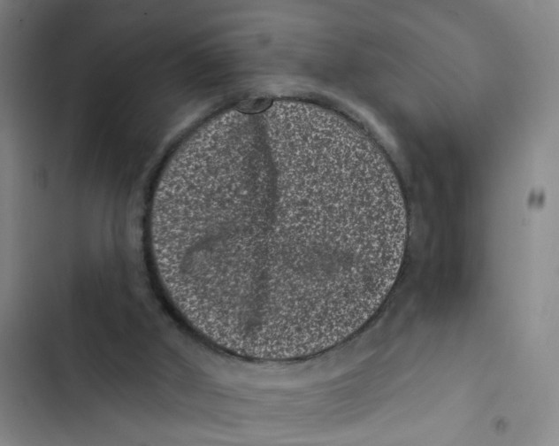 X0000102830010200809151051