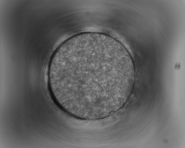 X0000102830011200809151051