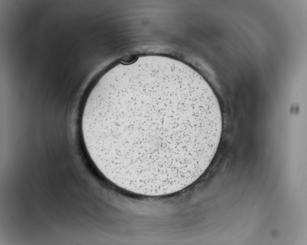X0000102830012200809151051