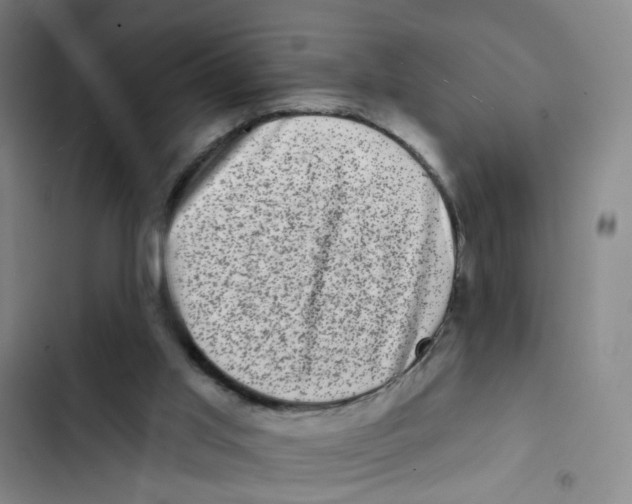 X0000102830013200809151051