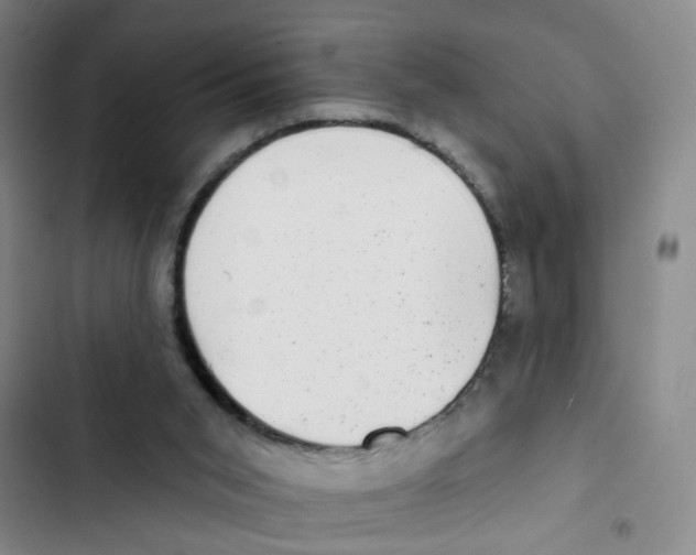 X0000102830015200809151051