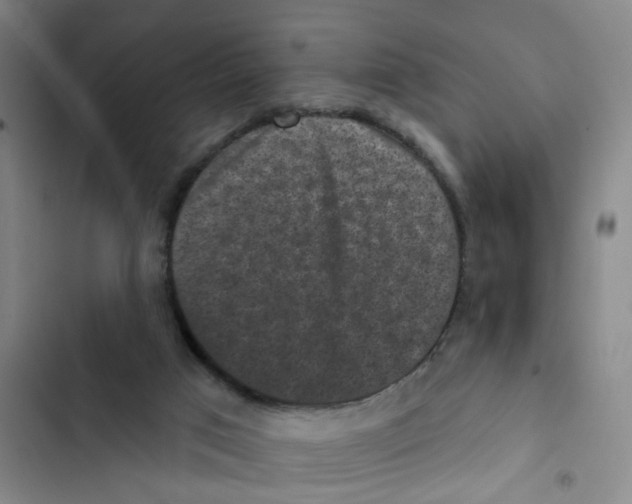 X0000102830017200809151051