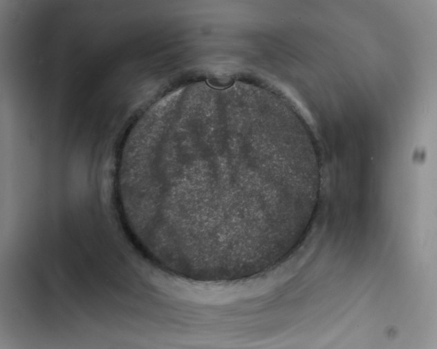 X0000102830018200809151051