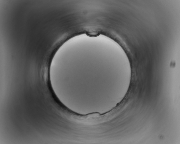 X0000102830019200809151050