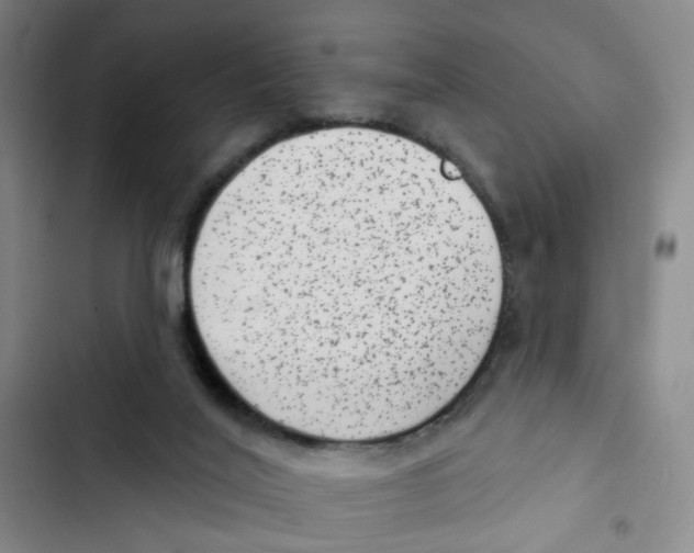 X0000102830020200809151050