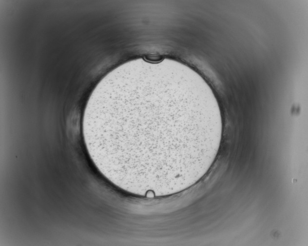 X0000102830021200809151050