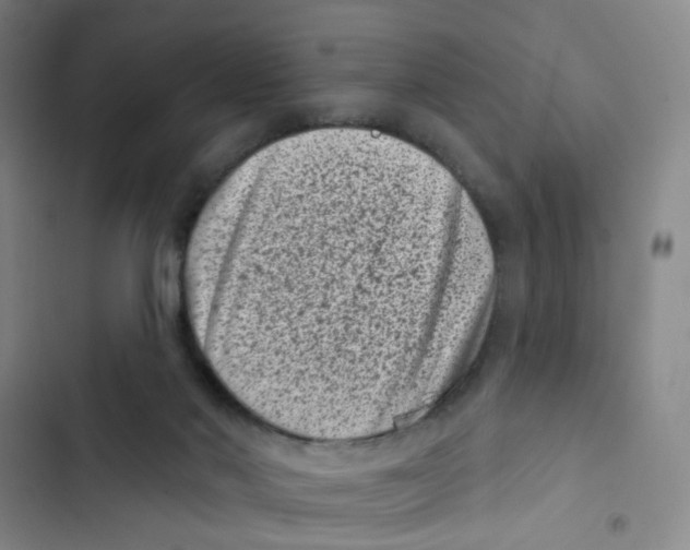 X0000102830022200809151050