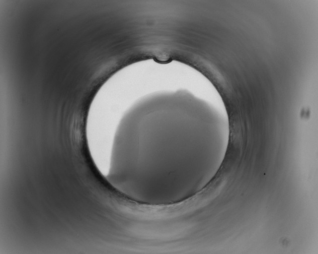 X0000102830023200809151050