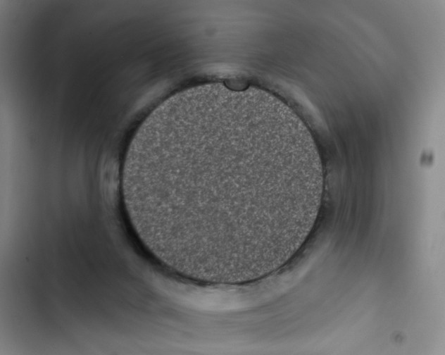 X0000102830024200809151050