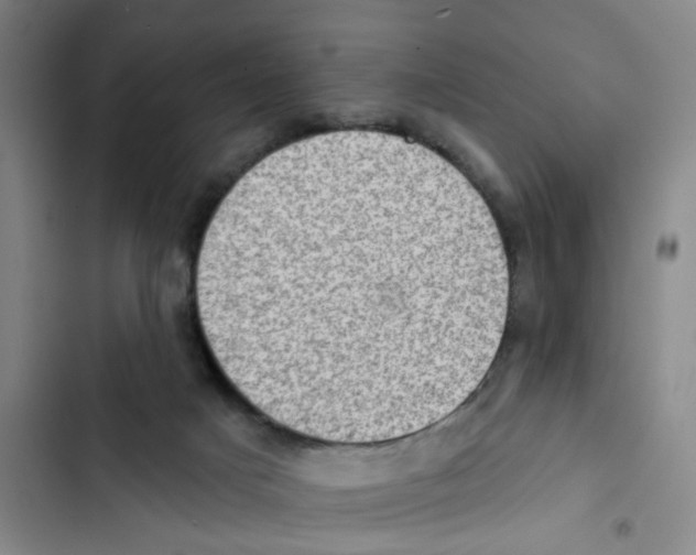 X0000102830025200809151050